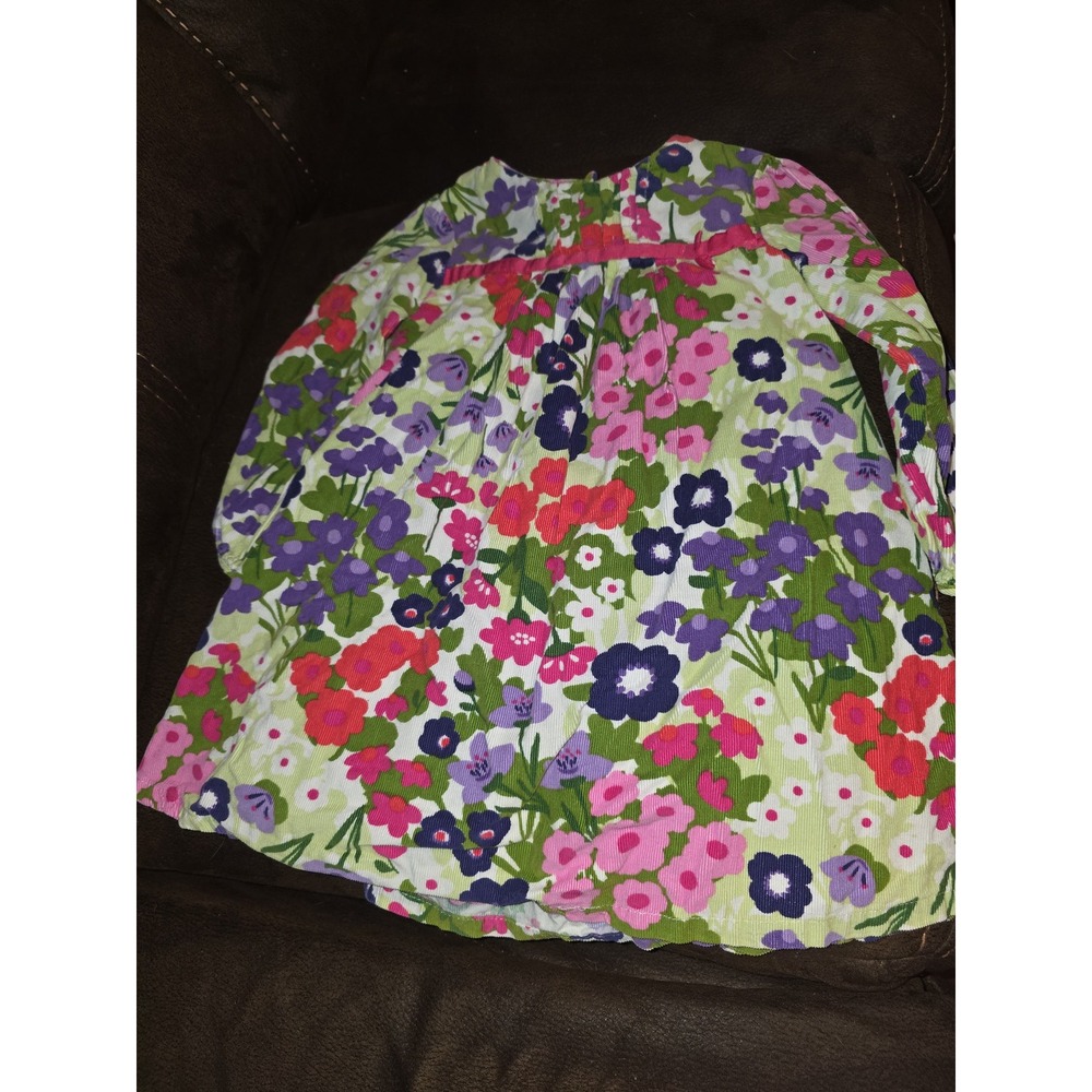 Gymboree outlet stylish corgi floral corduroy dress size 3t